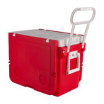 Ice Chest-Insulated box - Image 6