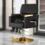 Black-Golden Disc Small Footrest-Thickened Chassis