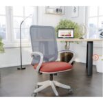 Best Ergonomic Chairs with Mesh Backrest - Multicolour