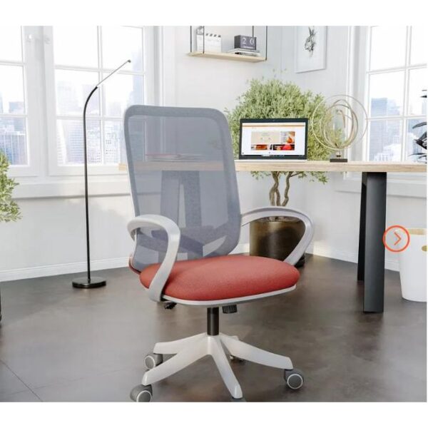 Best Ergonomic Chairs with Mesh Backrest - Multicolour