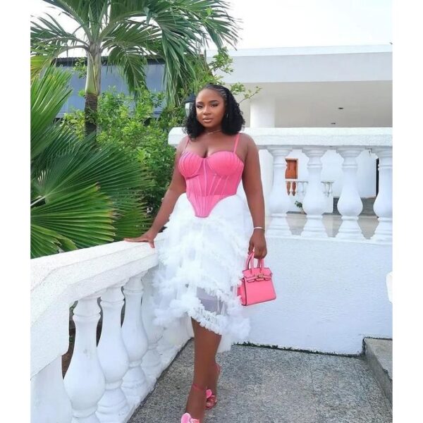 Corset skirt and top-pink and white