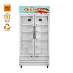 Delron 553 Litres - DDF-553 Showcase Display Double Door Refrigerator - White