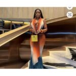 Mesh skirt and top-multi color