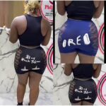 SHEIN Women Under wear