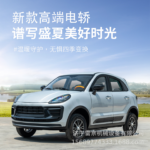 Electric four-wheeled vehicle, small new energy family car, two-door fully enclosed electric vehicle