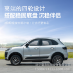 Electric four-wheeled vehicle, small new energy family car, two-door fully enclosed electric vehicle - Image 3