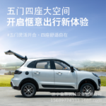 Electric four-wheeled vehicle, small new energy family car, two-door fully enclosed electric vehicle - Image 5